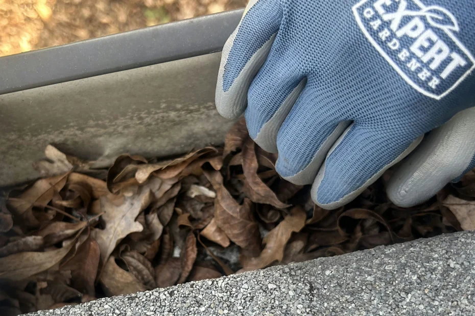 Gutter Cleaning Harvest