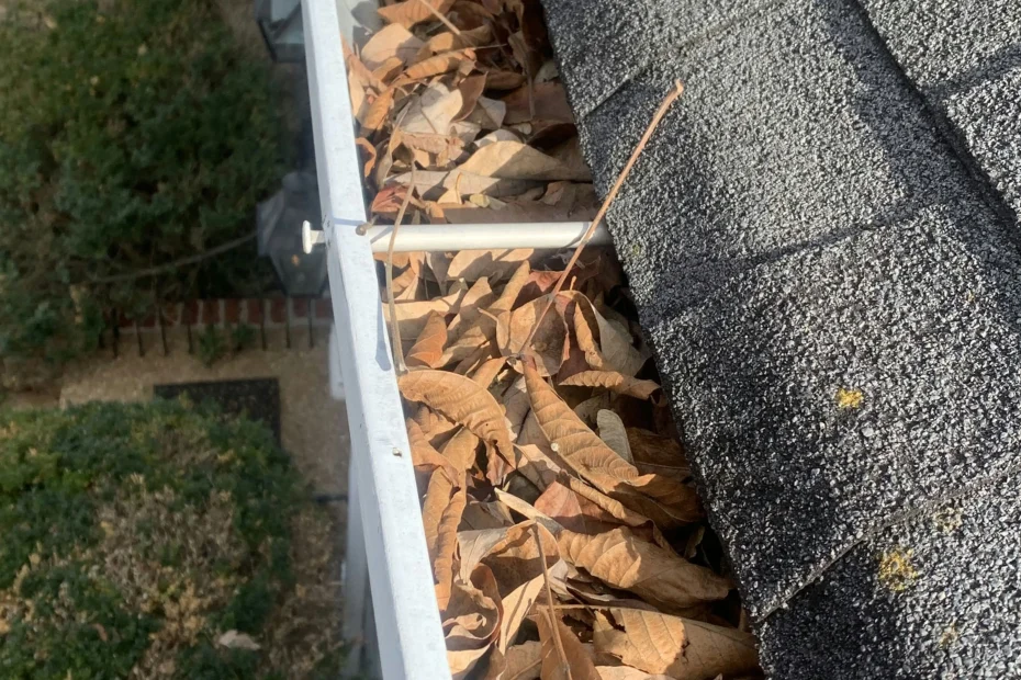 Gutter Cleaning Harvest