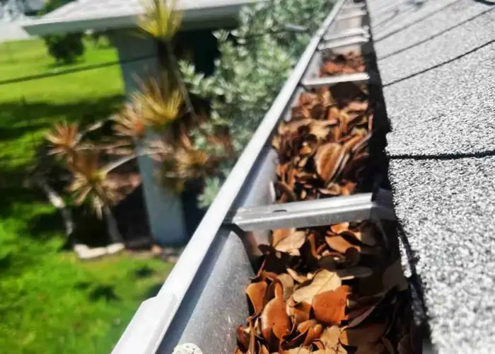 Gutter Cleaning Harvest home page